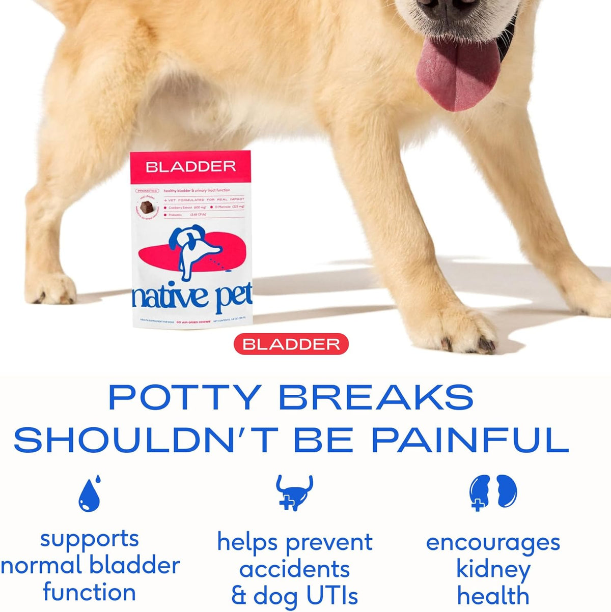 Native Pet Bladder Chews natural ingredient breakdown highlighting cranberry extract and D-Mannose benefits.