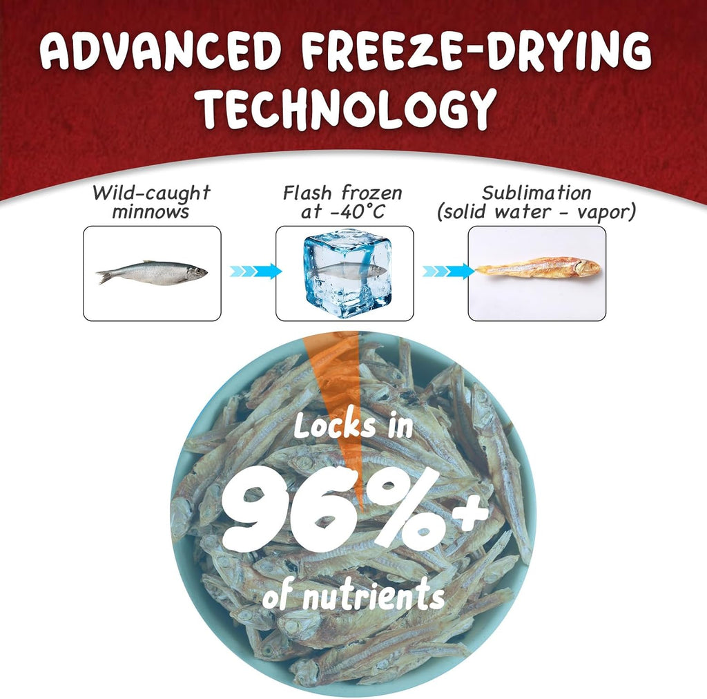 Healthy single ingredient freeze dried fish treats for pets