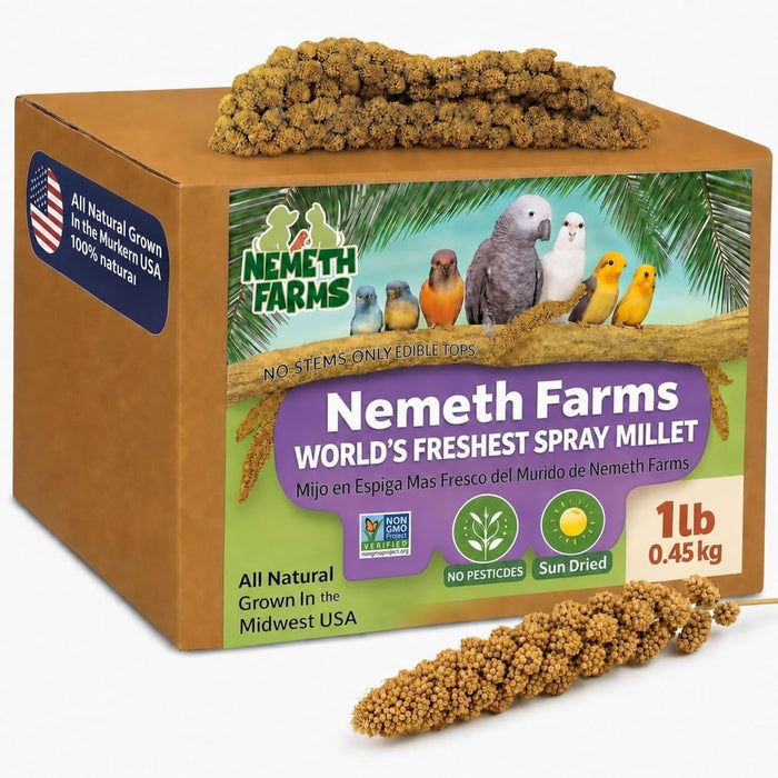 Nemeth Farms Spray Millet - Edible Tops Only, Non-GMO and Sun-Dried - 1 lb for Parakeets, Canaries and Finches - Image 1