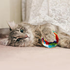 Premium imported feline exercise balls stimulating natural hunting instincts