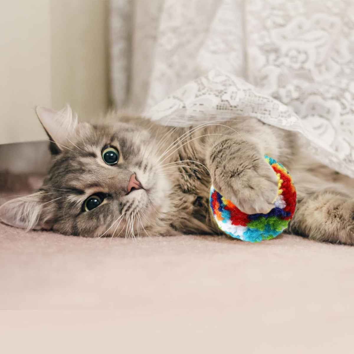Premium imported feline exercise balls stimulating natural hunting instincts