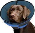 Queenmore Dog Cone XL front view on a large Labrador Retriever
