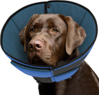 Queenmore Dog Cone XL front view on a large Labrador Retriever