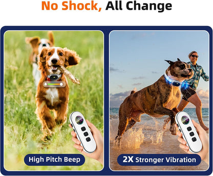 Chupolik training collar remote and receiver set