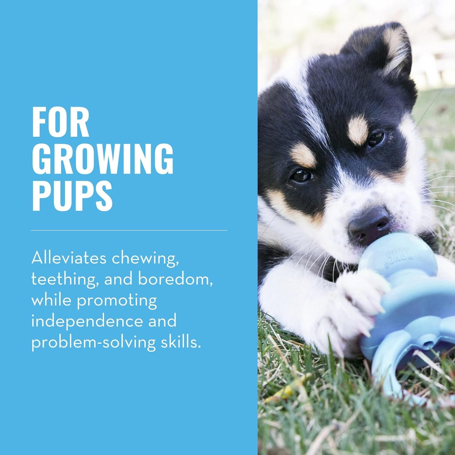 KONG Puppy Binkie small blue rubber toy treat dispensing design.