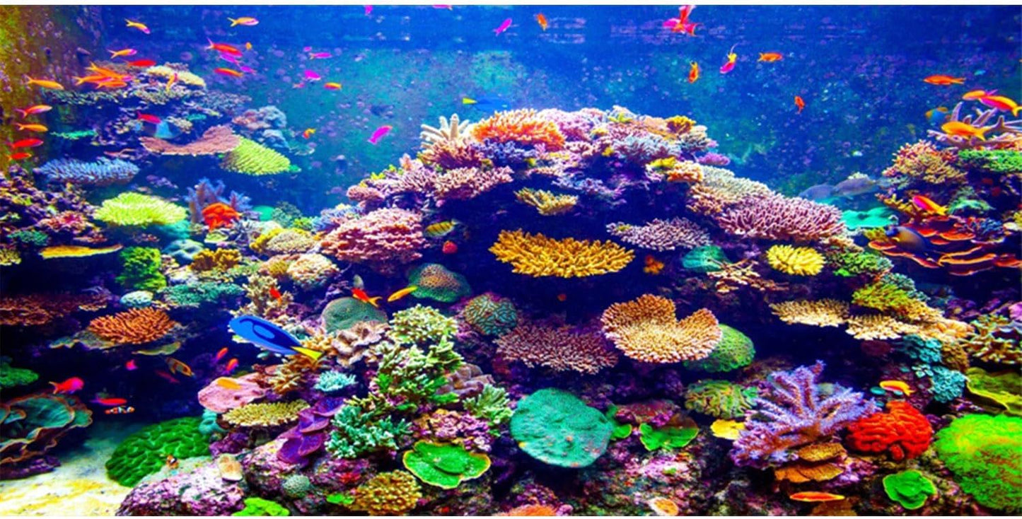 AWERT Undersea Theme Aquarium Background front view showing a colorful coral reef design.