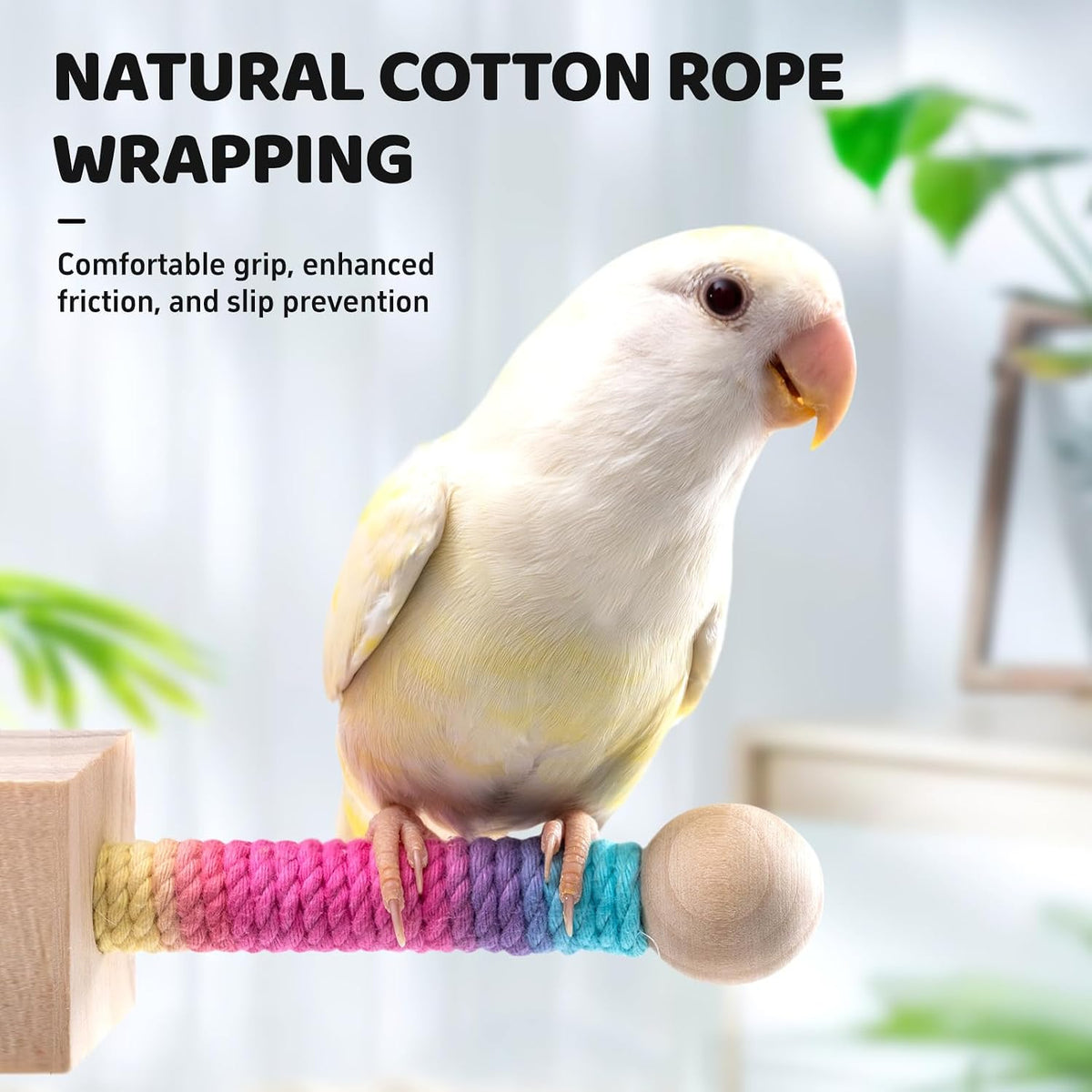 Jons Nty parrot cage accessories in use