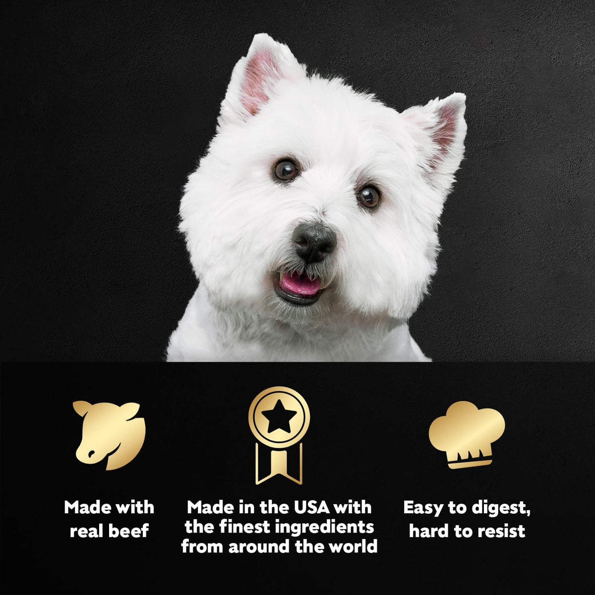Cesar wet dog food steakhouse variety pack 24 count box