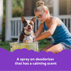 Bottle of Buddy Splash dog conditioner and deodorizer for pets