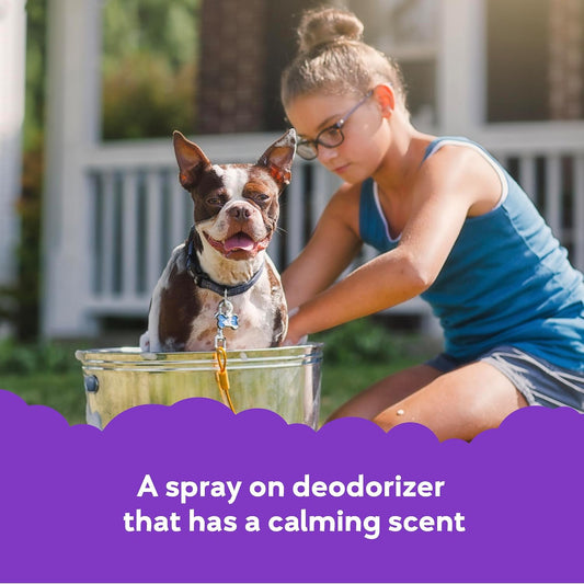 Bottle of Buddy Splash dog conditioner and deodorizer for pets
