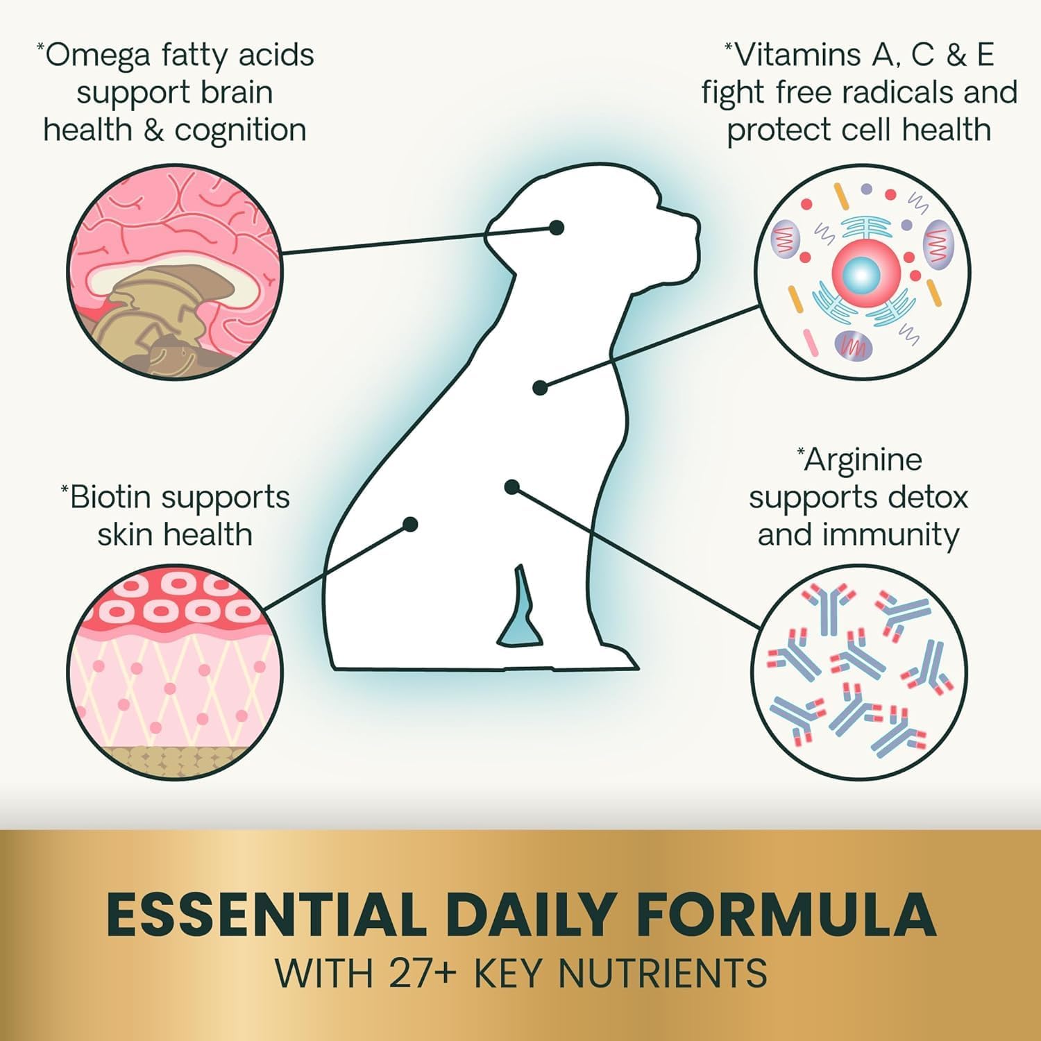 Close up of VetriScience duck flavored chewable tablets