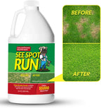 Close up of the spray nozzle on the See Spot Run lawn burn repair bottle