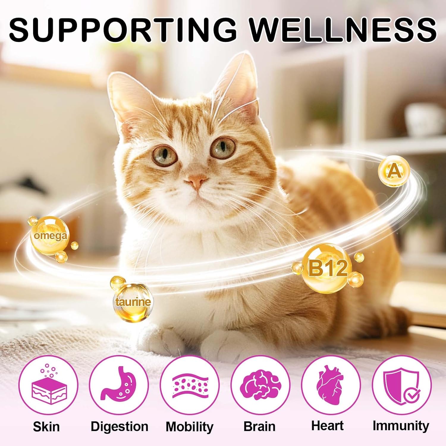 Dual texture daily cat vitamin supplements showing the crunchy shell and soft creamy center.