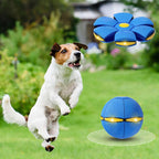 Dog playing with Badwalt flying saucer ball in park