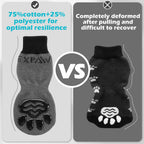 Dog paw protected from hot pavement using Expawlorer socks