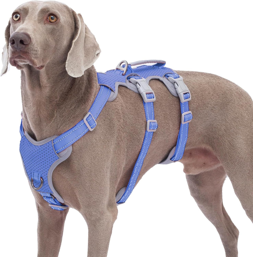Huntboo Escape Proof Harness, No Slip Dog Harness Escape Proof, Fully Reflective Harness with Handle, Breathable, Durable, Adjustable Vest for Medium Dogs Walking and Training Gear (Black, M) - Image 9