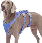 Huntboo Escape Proof Harness, No Slip Dog Harness Escape Proof, Fully Reflective Harness with Handle, Breathable, Durable, Adjustable Vest for Medium Dogs Walking and Training Gear (Black, M) - Image 9
