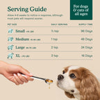 Microalgae oil for pet immune and heart support poured on dry pet food.