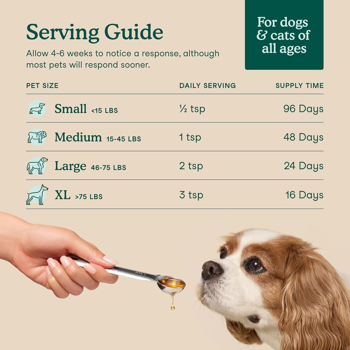 Microalgae oil for pet immune and heart support poured on dry pet food.