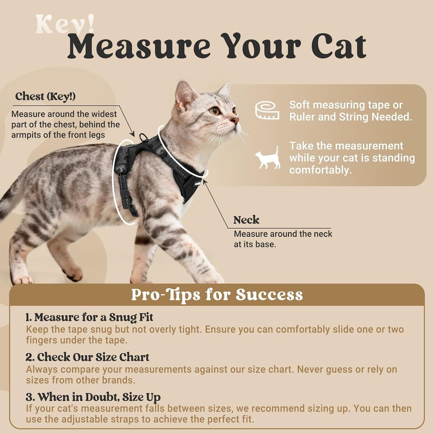 Rabbitgoo escape proof cat harness adjustable neck buckle closeup view showing lockable adjusters