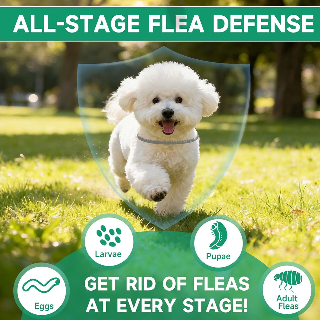 Woyamay 32 month dog protection collar pack
