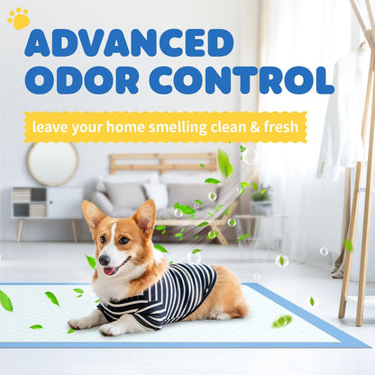 Powools wee wee pads with quick dry polymer gel action for odor control.
