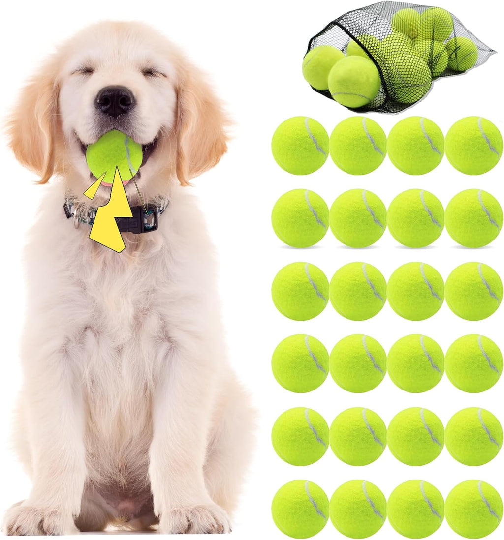 Swingers Squeaky Tennis Balls for Dogs,2.5 inch Training Tennis Balls,Exercise Ball for Pet Dog with Mesh Carry Bag Easy to Transport (Multicolor, 6 Pack) - Image 10