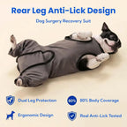 Gray dog surgery recovery bodysuit back zipper detail