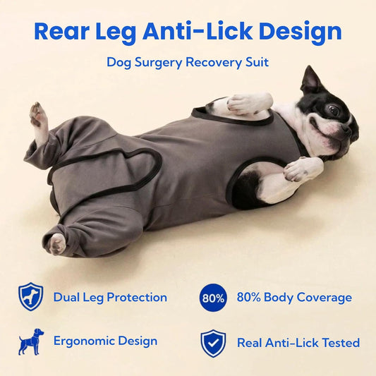 Gray dog surgery recovery bodysuit back zipper detail