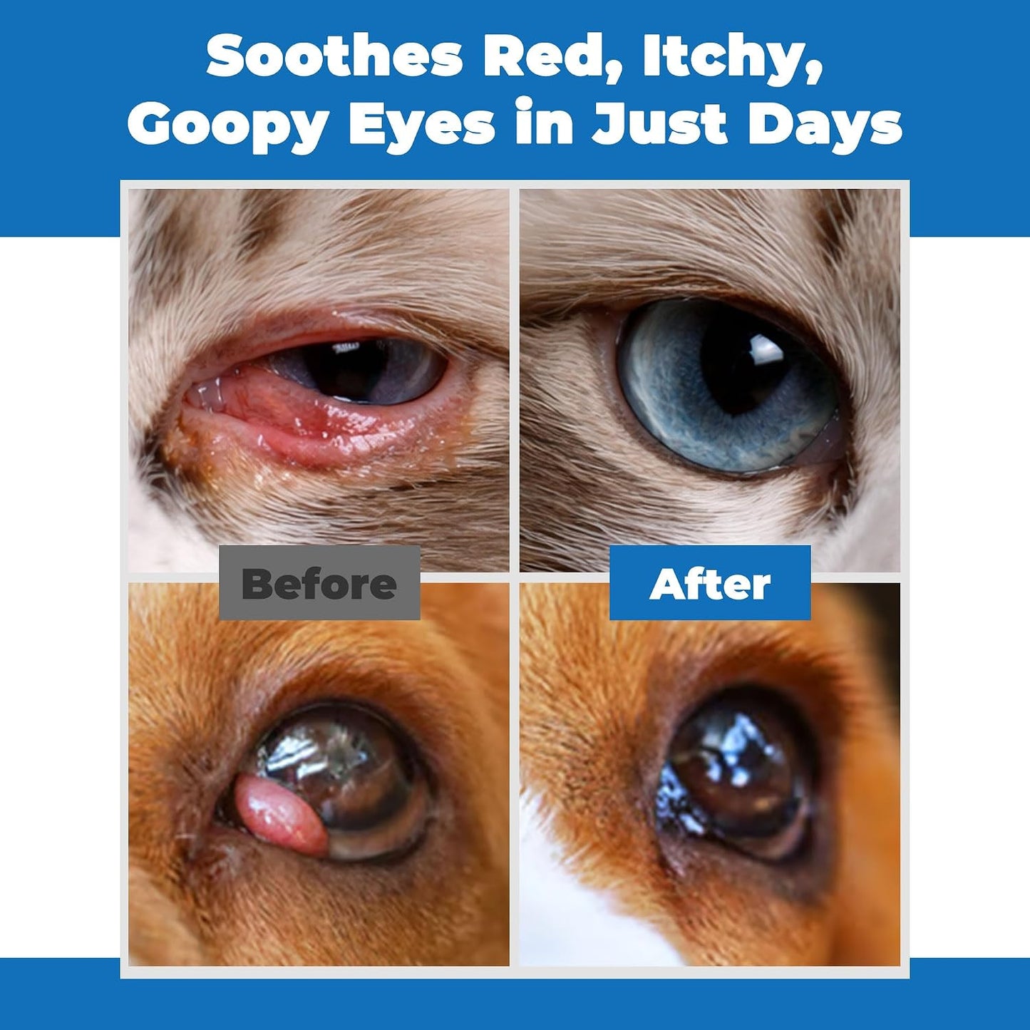 USA imported DURVMED pet eye ointment for horses and birds.