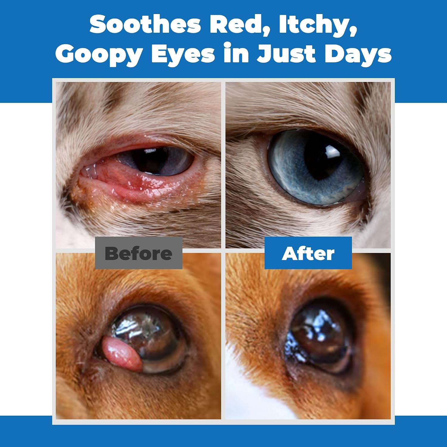 USA imported DURVMED pet eye ointment for horses and birds.