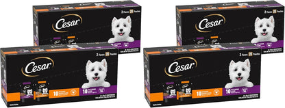 Cesar Filets in Gravy Wet Dog Food Rotisserie Chicken Flavor, Filet Mignon Flavor, and Wood-Grilled Chicken Variety Pack, Wet Food for Dogs, 1.76 oz. Mini-Pouches, 40 Count - Image 12