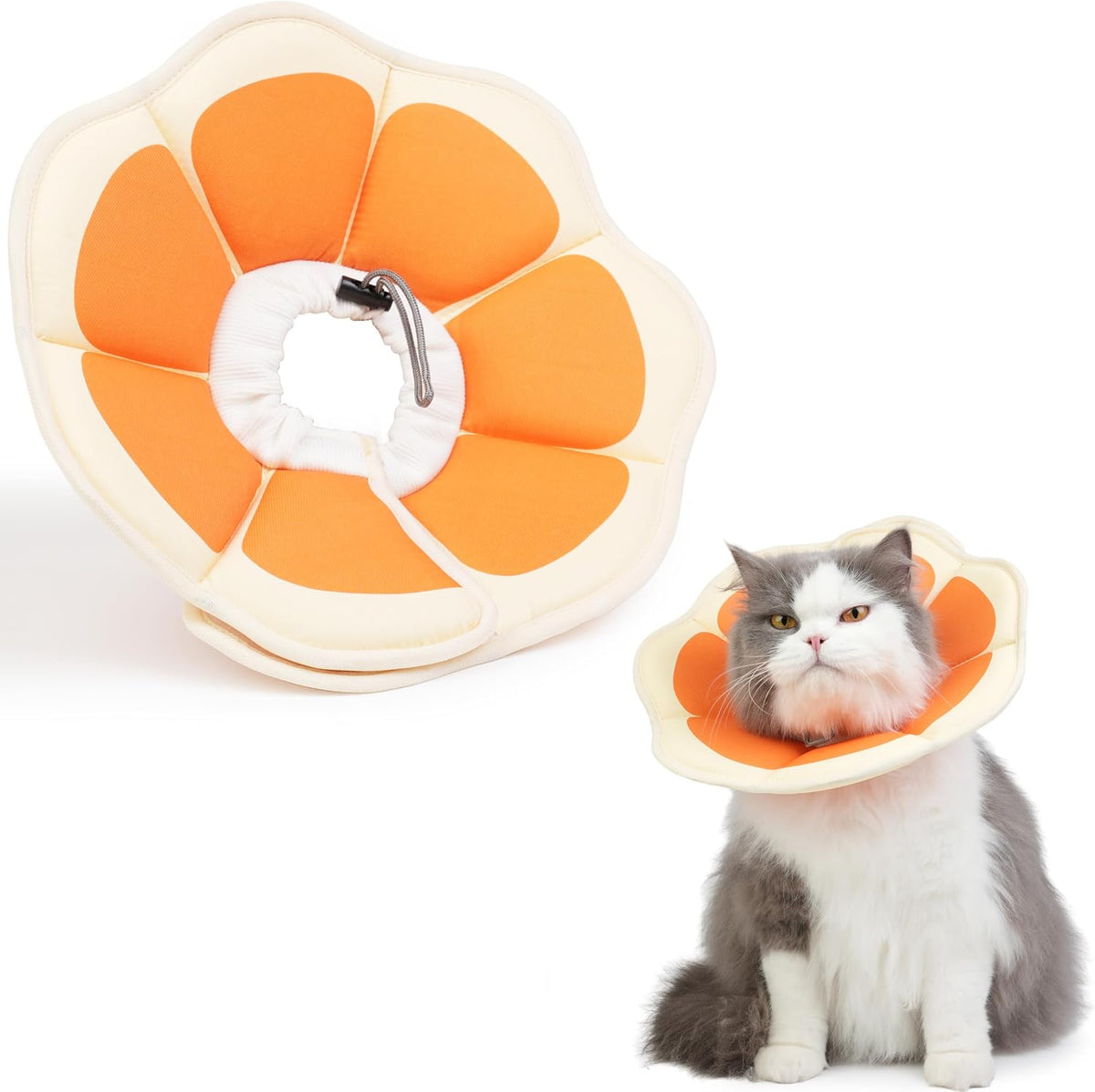 Genuine Hpetppy kitten recovery collar imported from USA shown on a resting cat