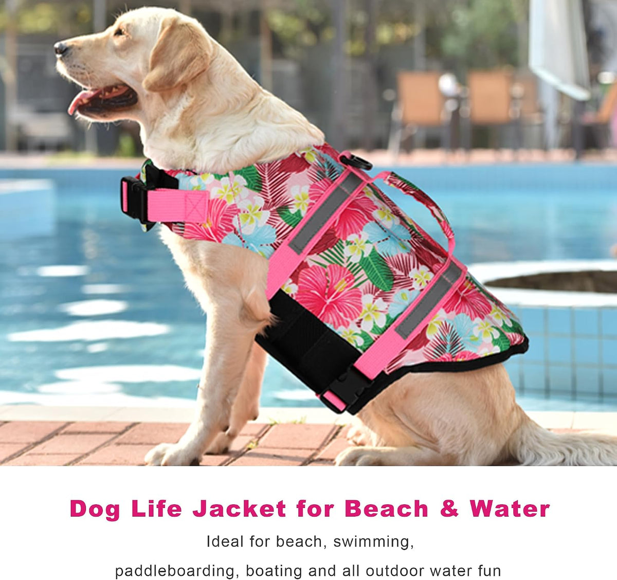 Adjustable dog safety swimsuit with reflective stripes for night visibility