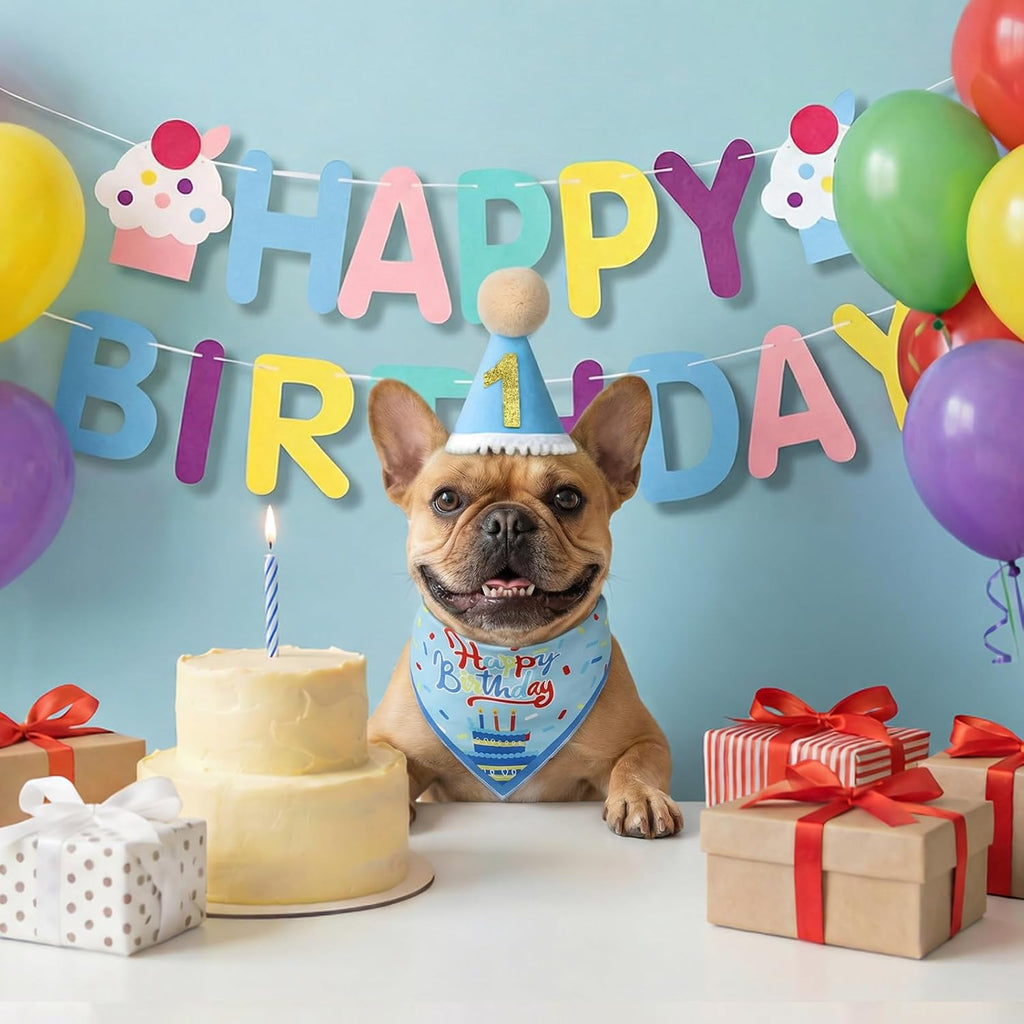 Adjustable birthday hat for small and large dogs