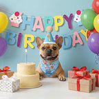 Adjustable birthday hat for small and large dogs