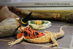 Vehomy Halloween costume set arranged with all four pieces for small pets