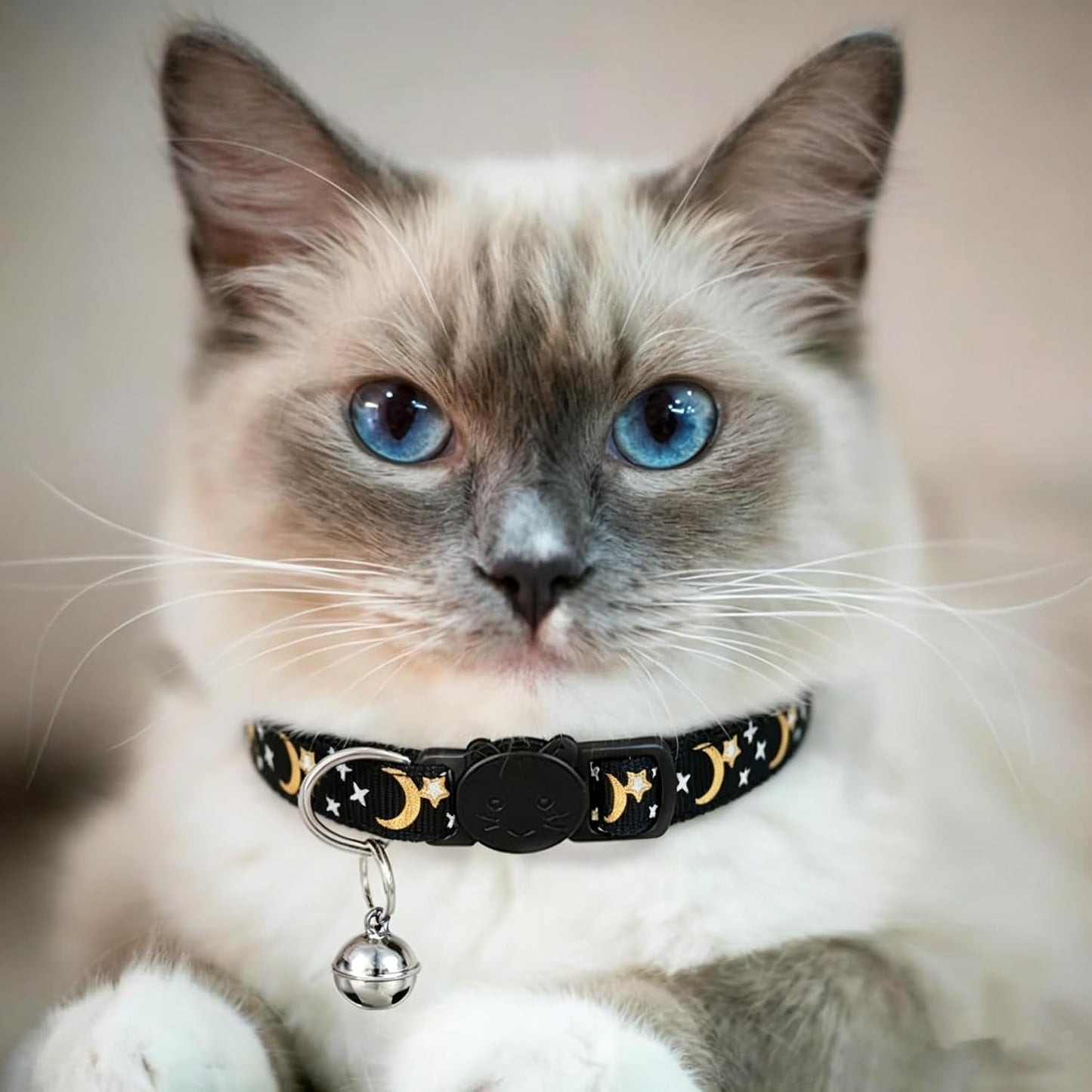 Close-up view of the reflective moon and star patterned nylon webbing on the Dhgate cat safety collar.