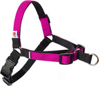 Wildebeest No Pull Dog Harness | Comfortable Training Harnesses | Effective No Pull Harness Design | Ideal for Small Dog and Puppy | 4-Point Adjustable (S -18~24 inch Girth, Turquoise) - Image 11