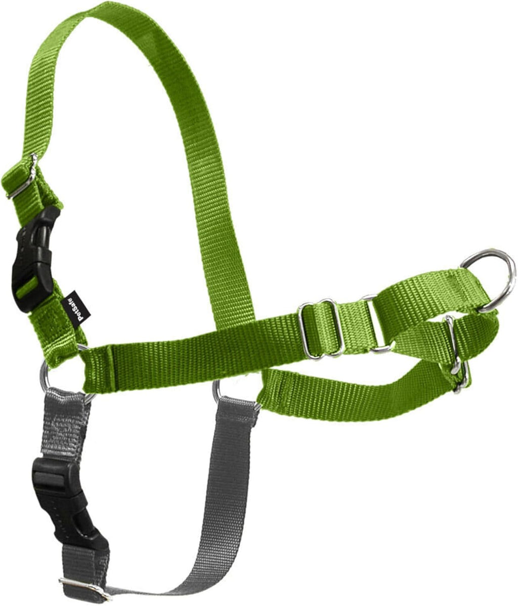 PetSafe Easy Walk No-Pull Dog Harness - Ultimate Harness to Help Stop Pulling - Pull-Free Walks - Take Control & Teach Better Leash Manners - Patented Martingale Loop Design - Black, Large - Image 11