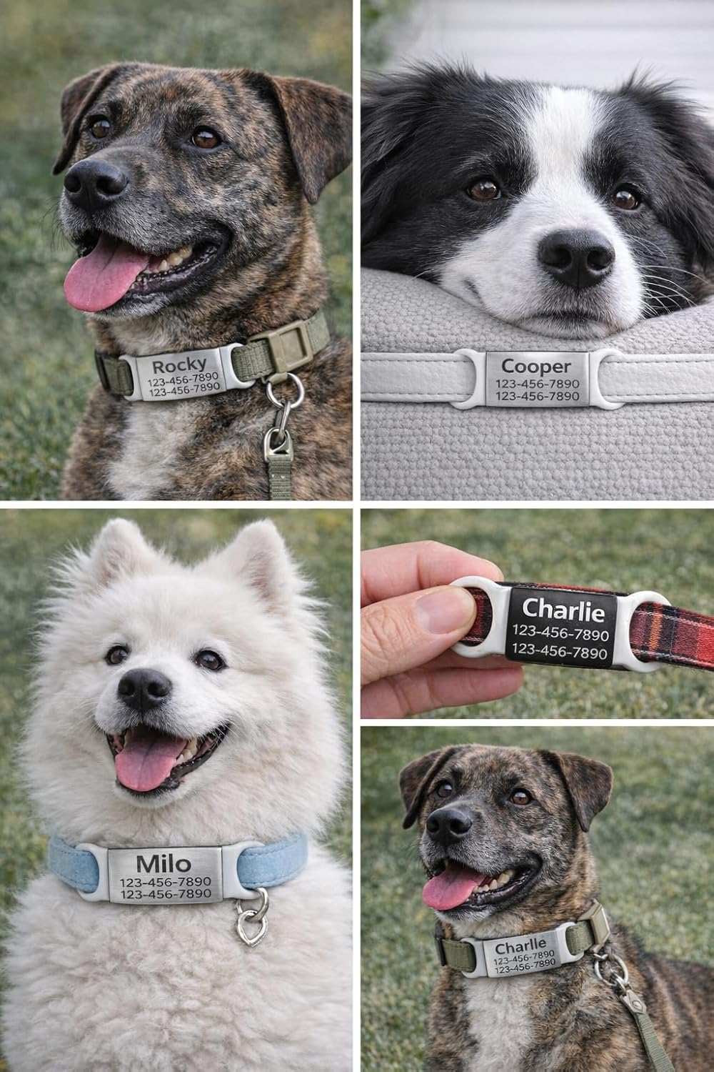 Mio Crafts noise free laser engraved custom pet contact information plate lifestyle image