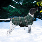 Rear view of Kuoser dog coat with visible leash access hole