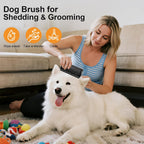 Groomi deshedding tool removing undercoat dander to relieve pet skin itchiness