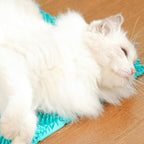 The Pets Company grooming mat showing durable plastic construction