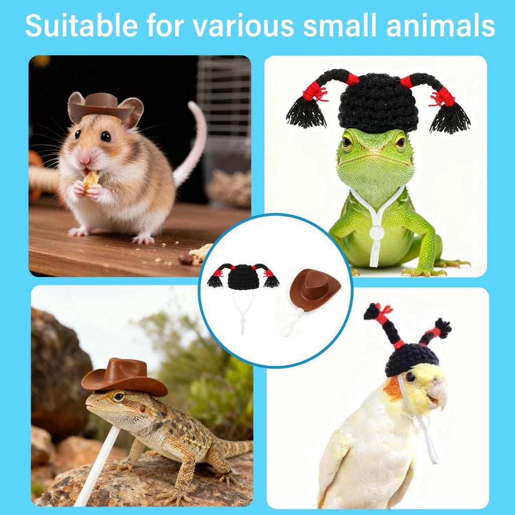 The complete two-piece Intatikoo miniature reptile hat set displayed flat against a clean background.