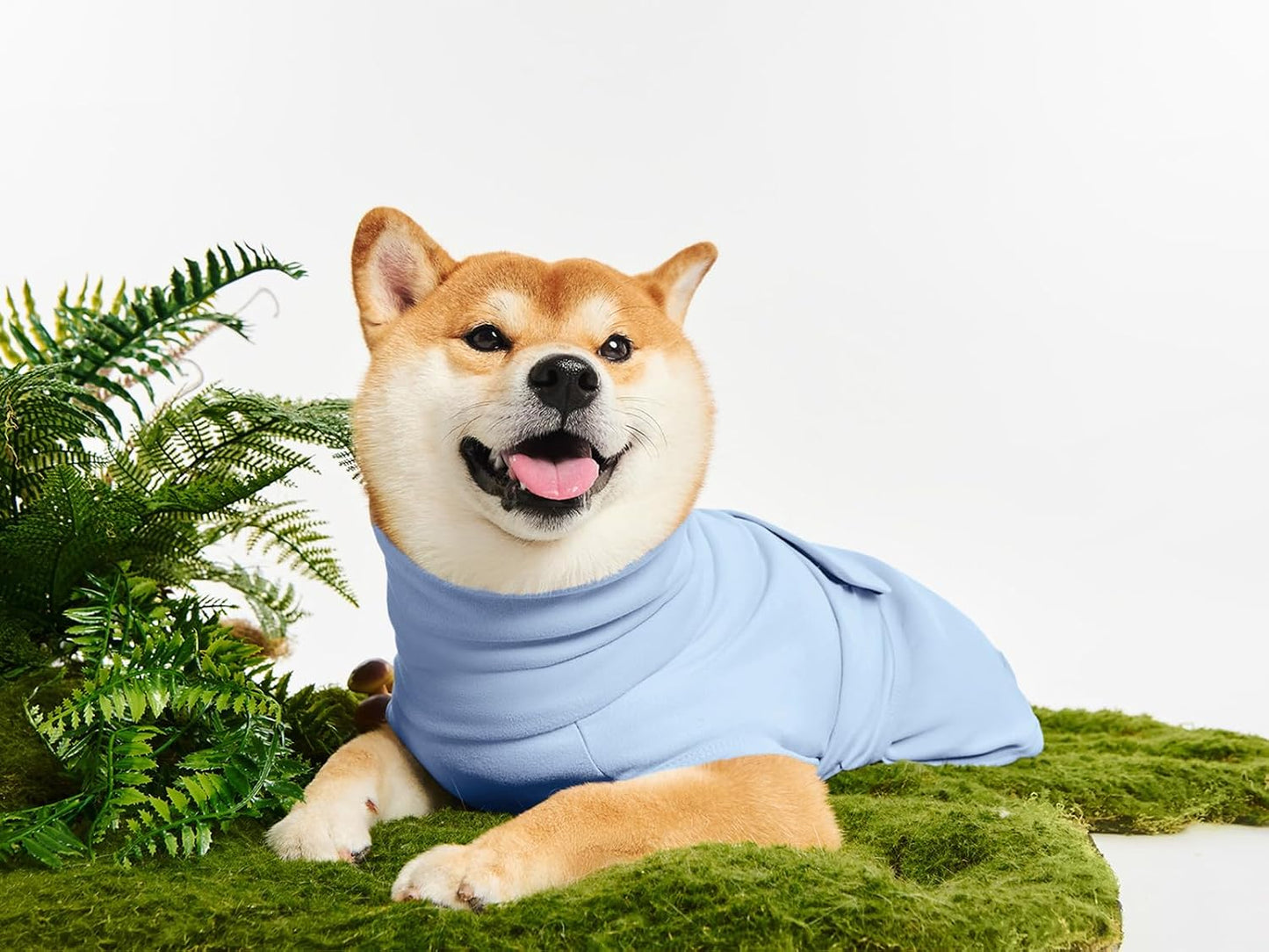 Haloumoning imported drug free dog anxiety wrap medium large size