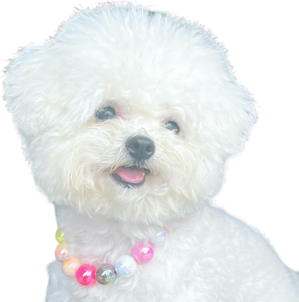 Kepudengen colorful fashion pet collar laid flat to demonstrate adjustable sizing chain range