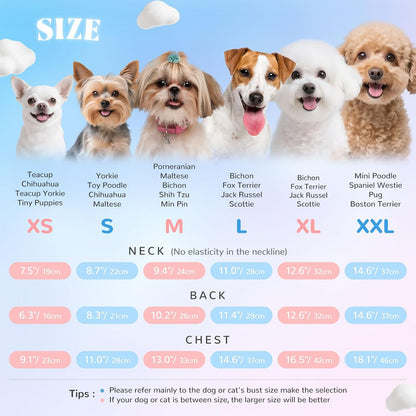 AXIIJGL small dog apparel variant showcasing the premium layered pastel tulle structure.