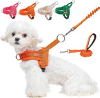 BEAUTYZOO Dog Harness for Small Dogs, No Pull Dog Harness and Leash Set, Soft Escape Proof Puppy Vest Harness with Handle, Reflective Lightweight Step in Harness for Girl Boy Dogs, Beige XS - Image 14