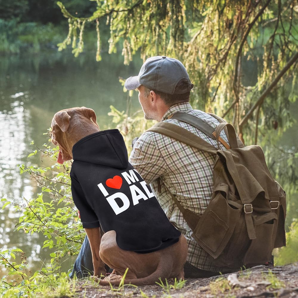 GreenJoy pet hoodie laid flat showing size proportions